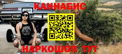 трава Сланцы