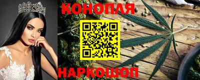 стаф Славянск-на-Кубани