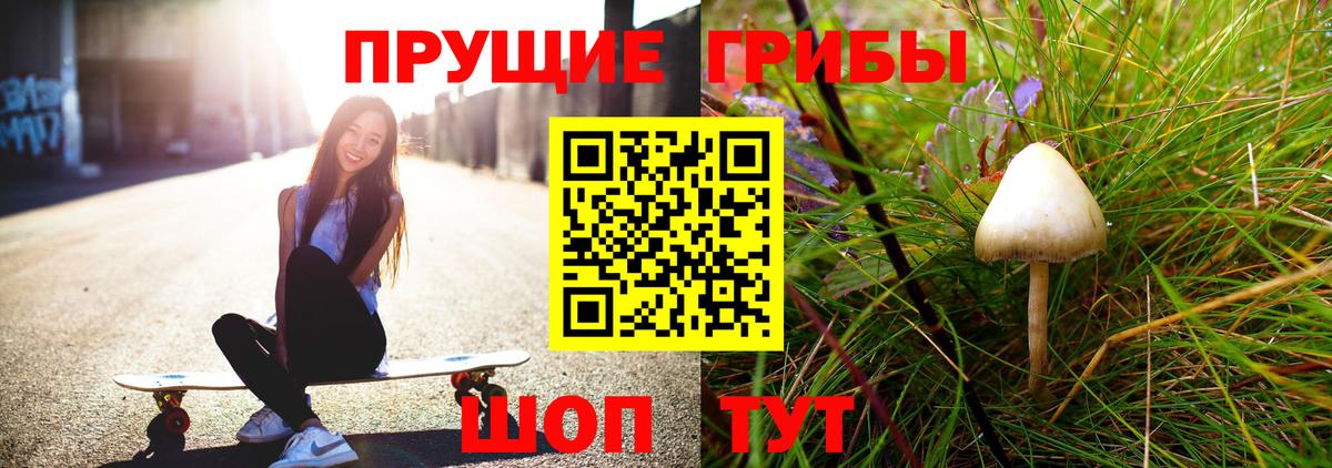 Можга  Псилоцибиновые грибы Psilocybine cubensis  Вход с VPN  Галлюциногенные грибы Cubensis 